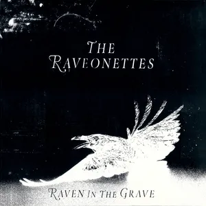 Raven in the grave